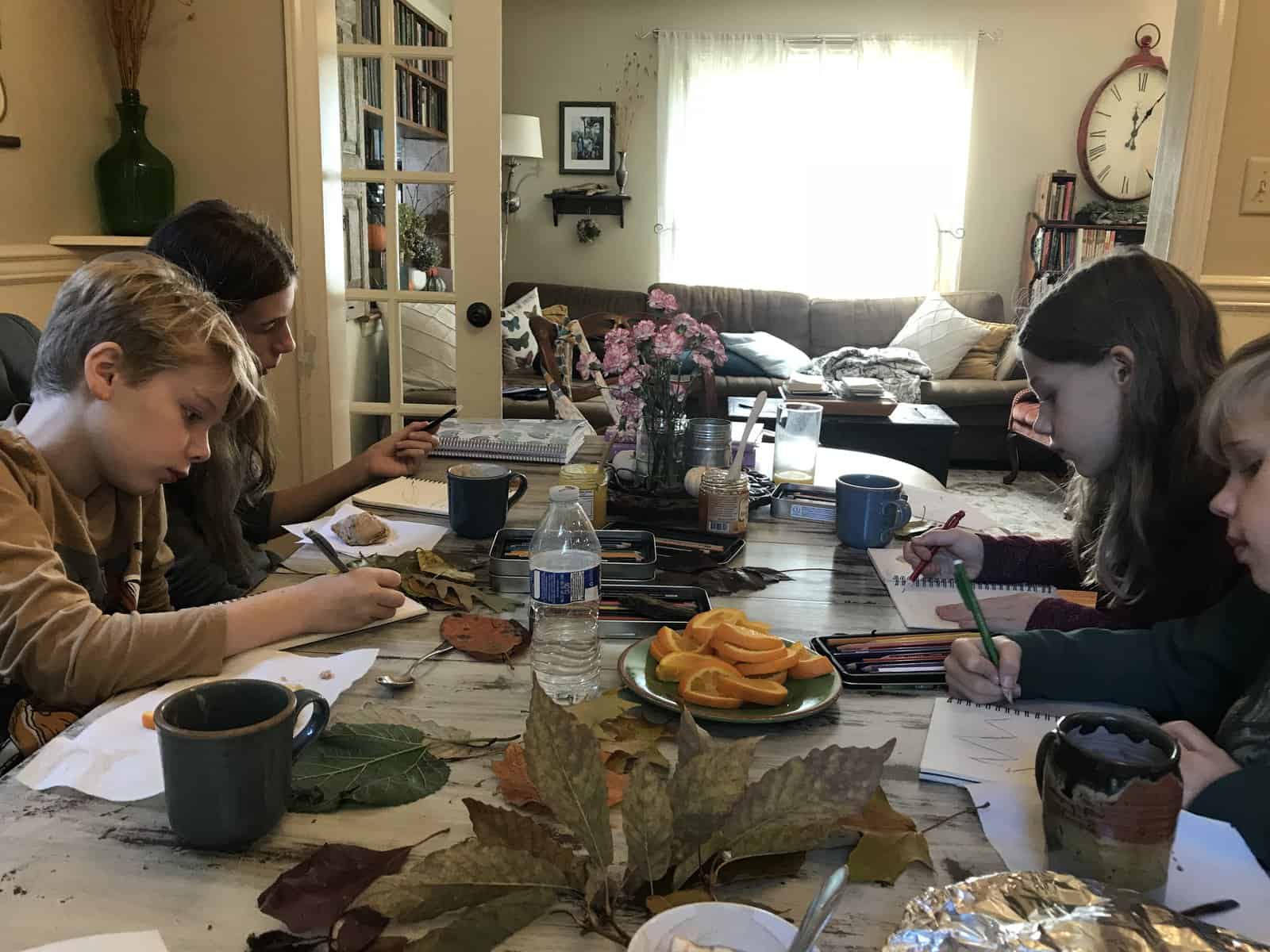 A Charlotte Mason Inspired Education with Robin