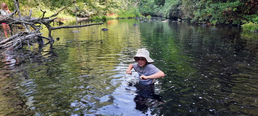 Nature Study With All Boys with Sarah Part 2