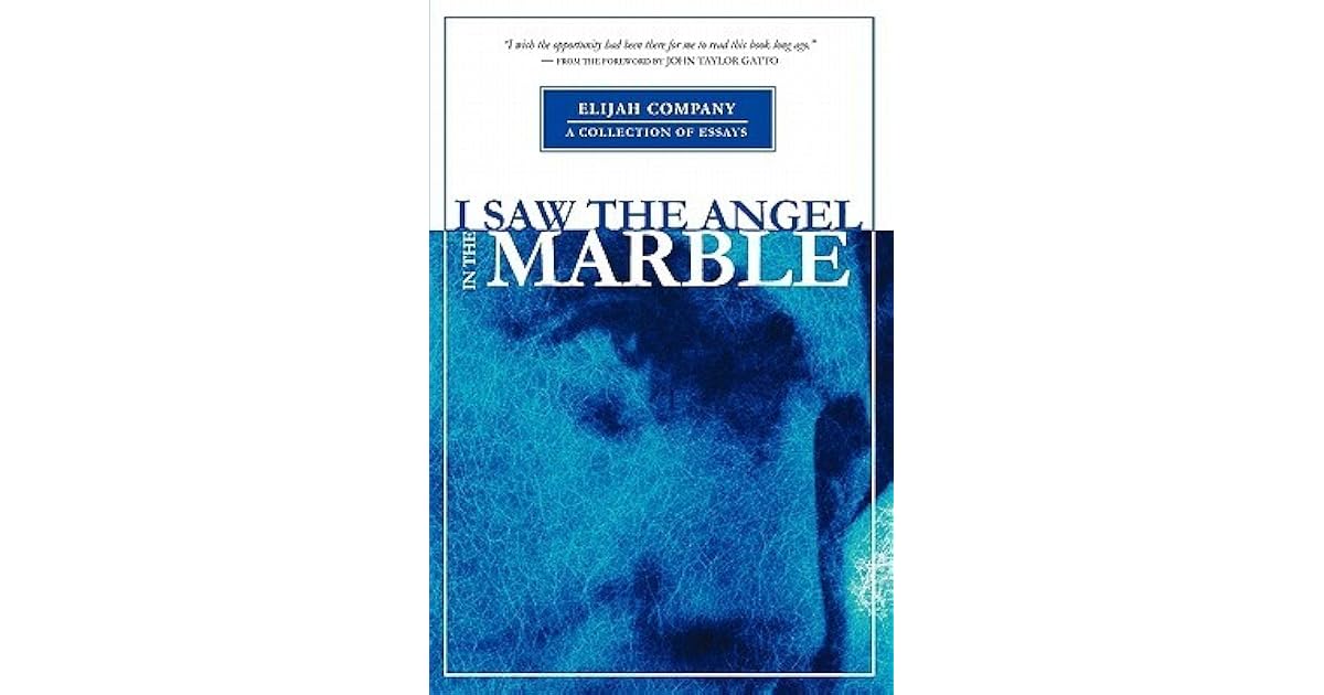 I Saw the Angel in the Marble by Chris Davis