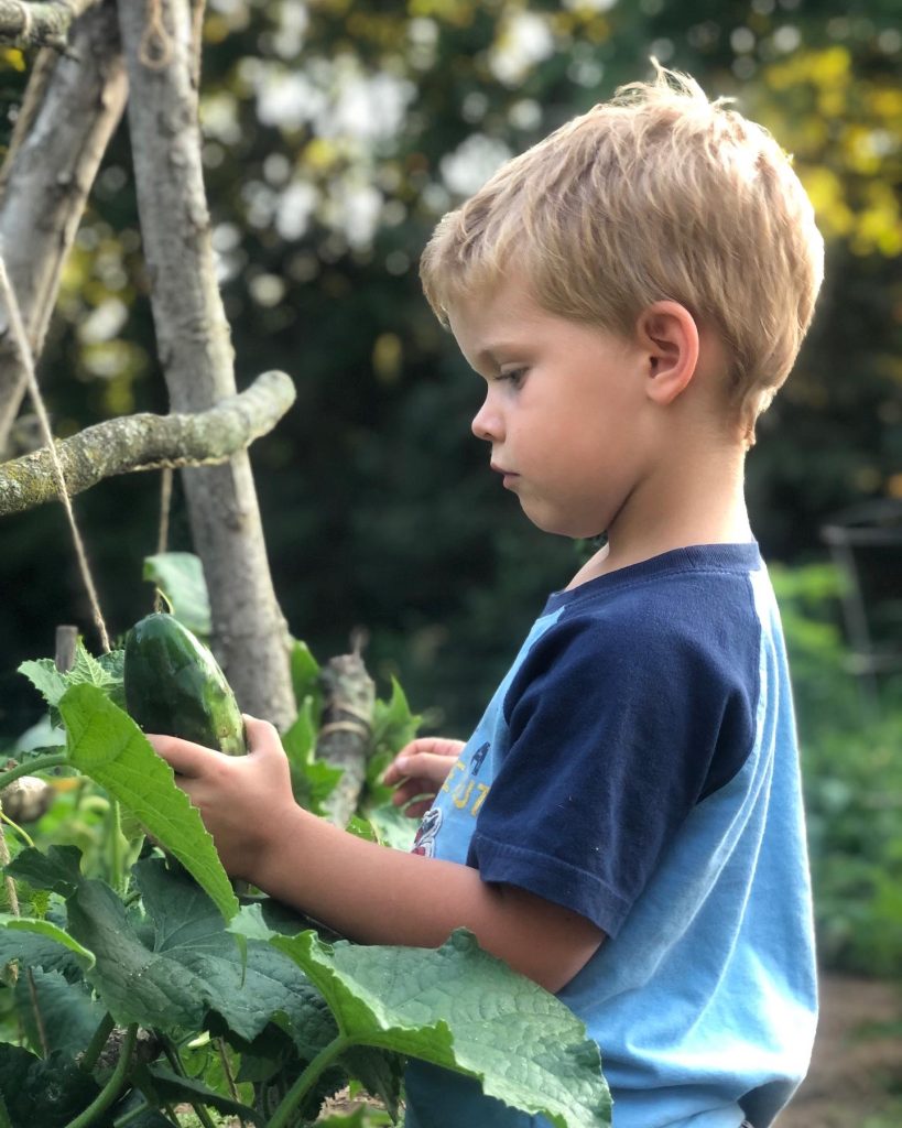 Practical Life Skills: Gardening Ideas for Kids