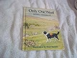 Only One Woof