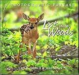 Lost In The Woods: A Photographic Fantasy
