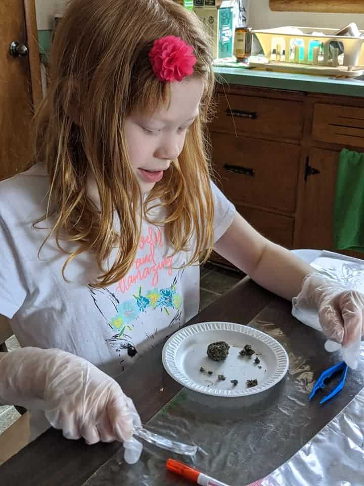 Unique Opportunities of Homeschooling with Lauree