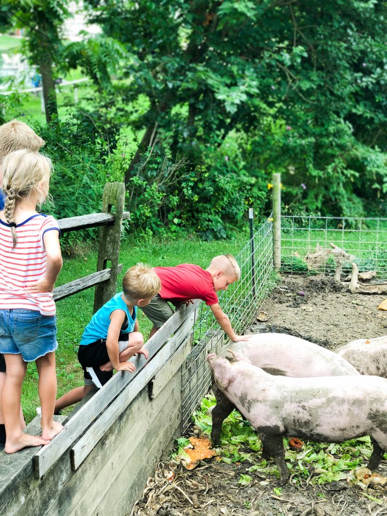 Raise Kids Who Love To Learn With These 10 Ideas