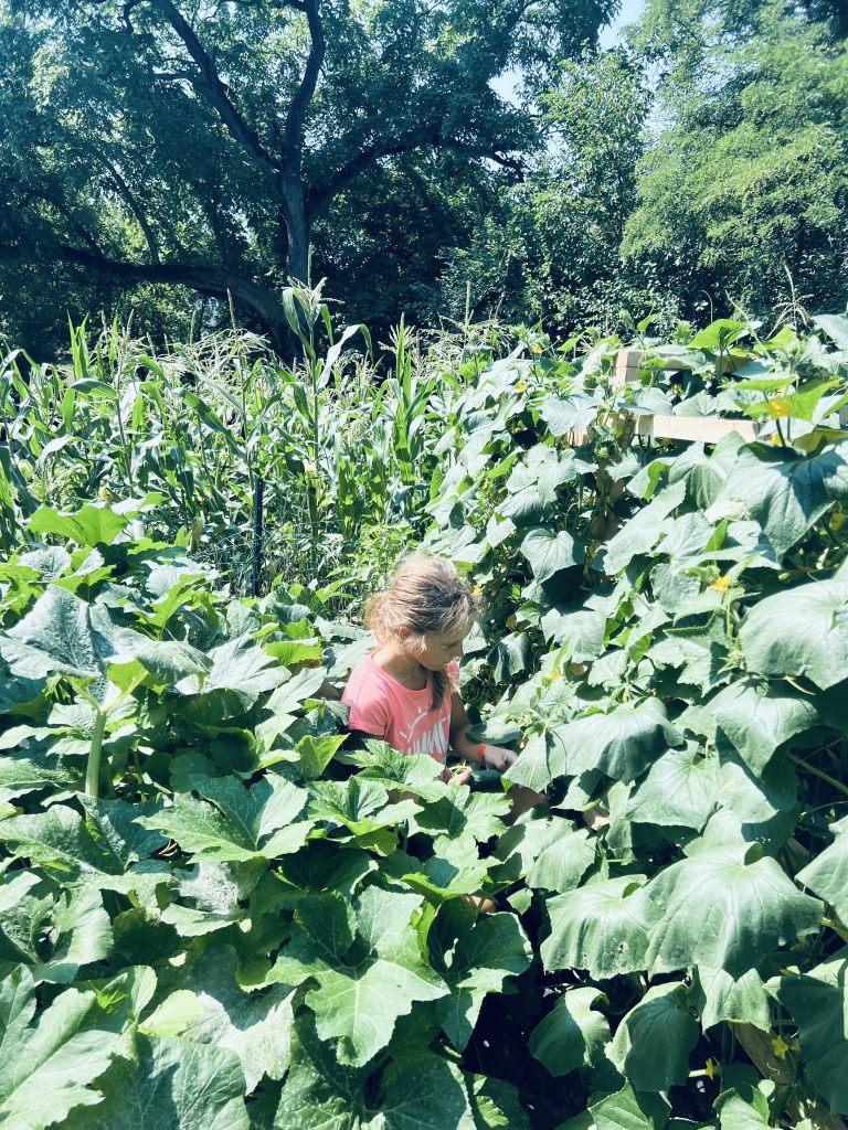 Practical Life Skills: Gardening Ideas for Kids