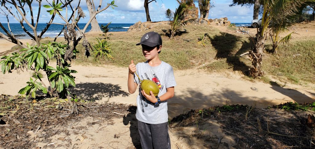 Finding The Joy In Homeschooling: Interview With Krista