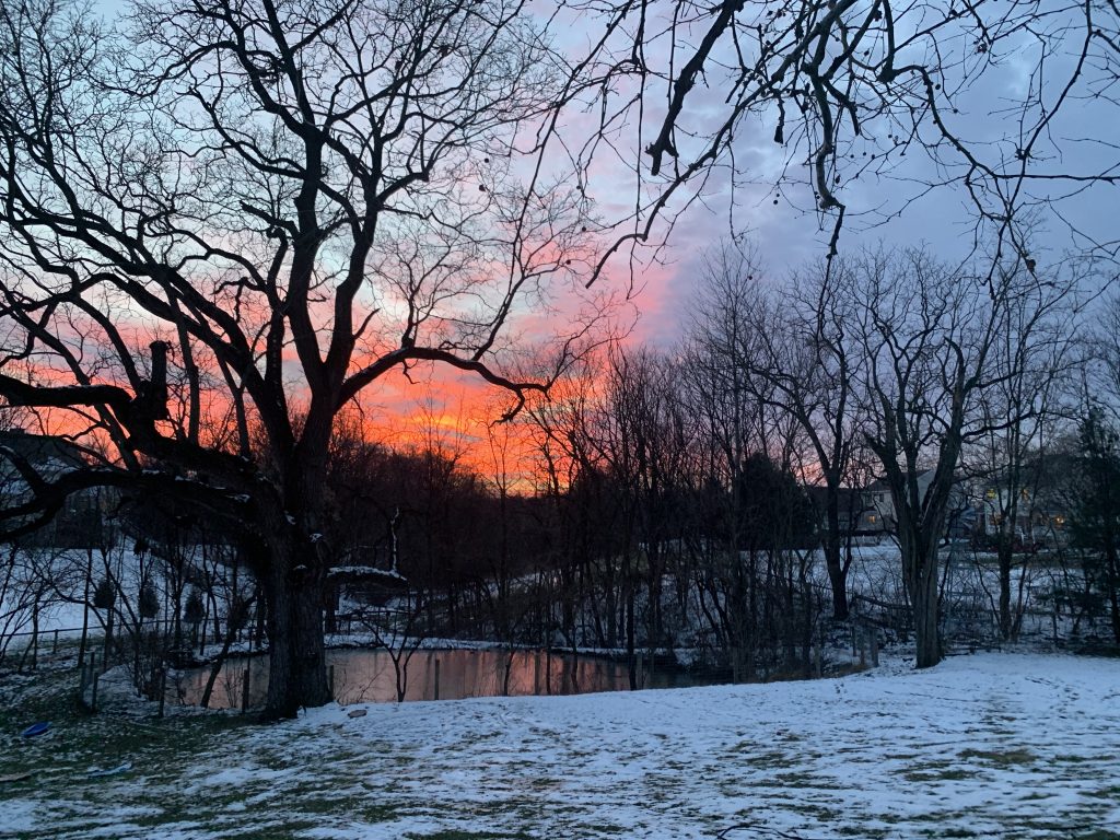 sunset in winter