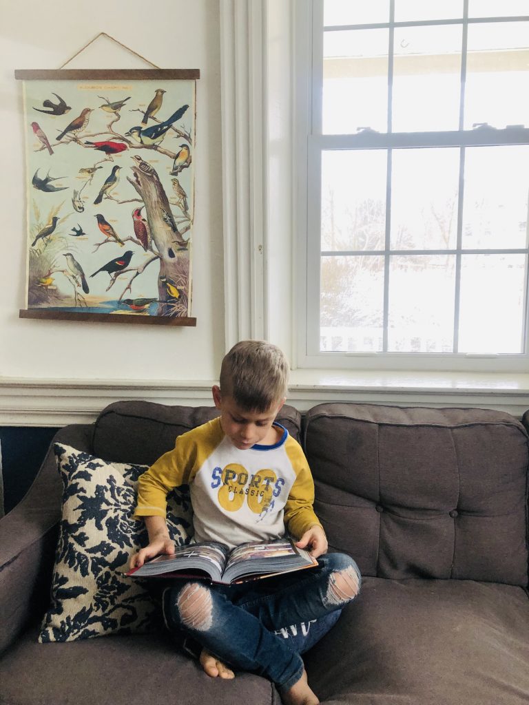 boy reading Bible