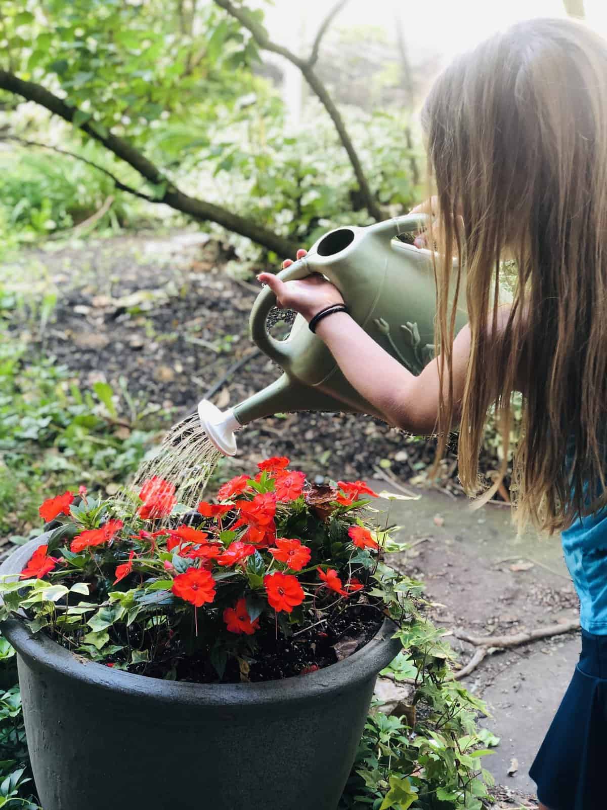 Important Life Skills for Kids to Learn in Summer