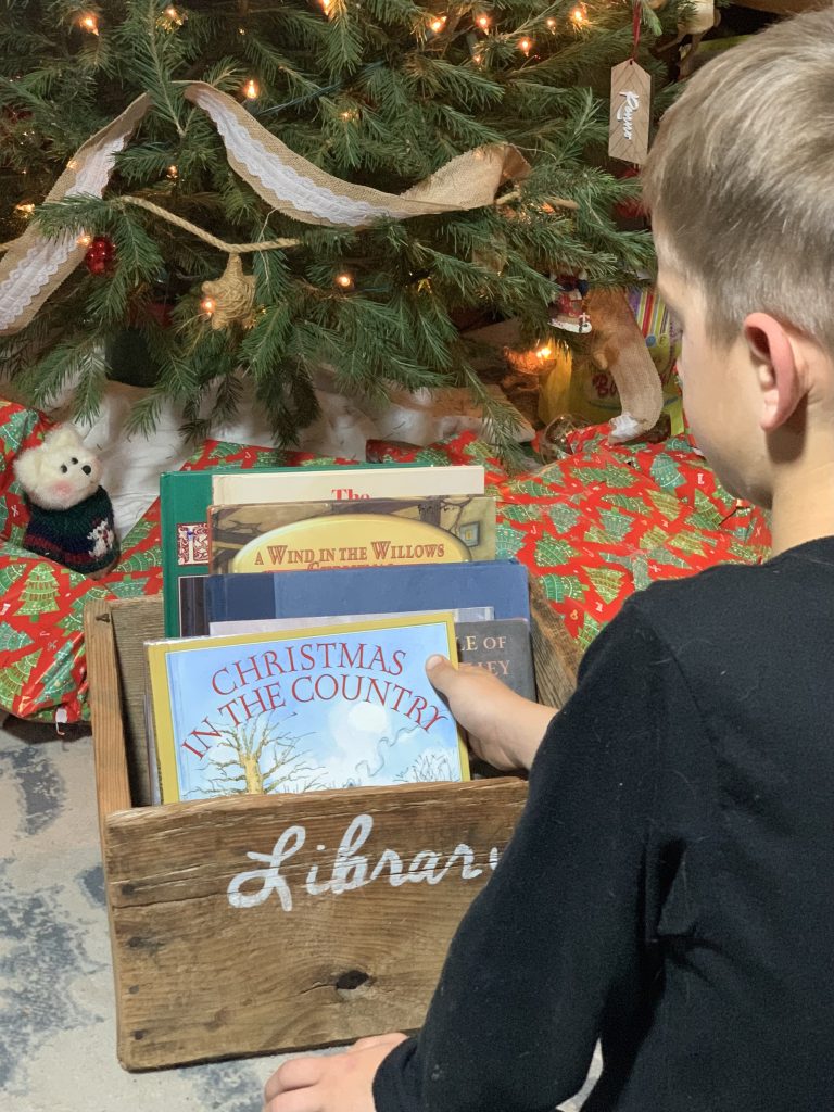 9 Beautiful Christmas Picture Books to Read Aloud