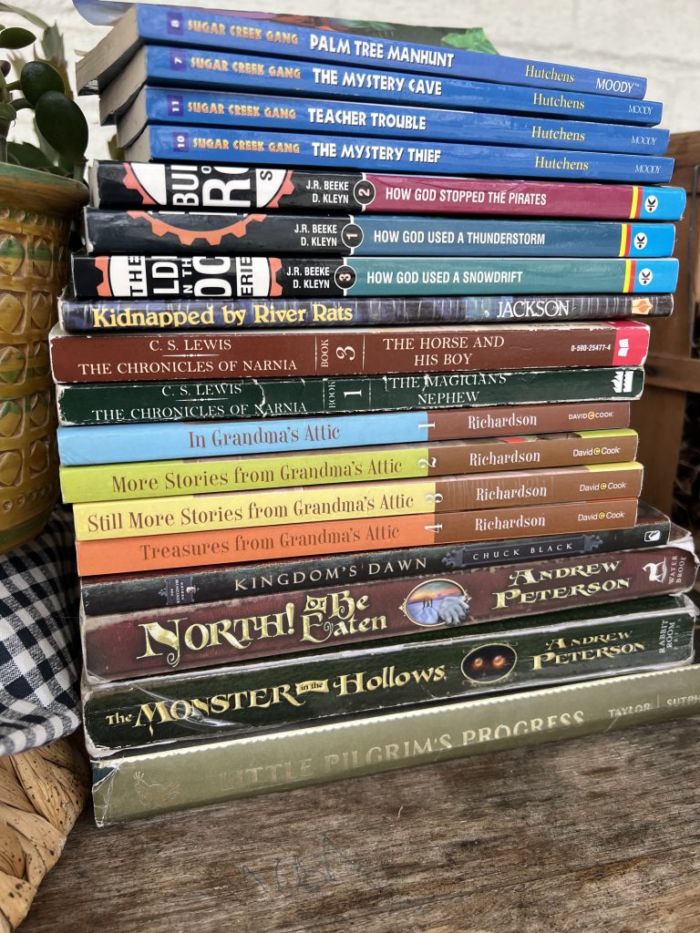 12 Excellent Christian Books For Tweens to Read