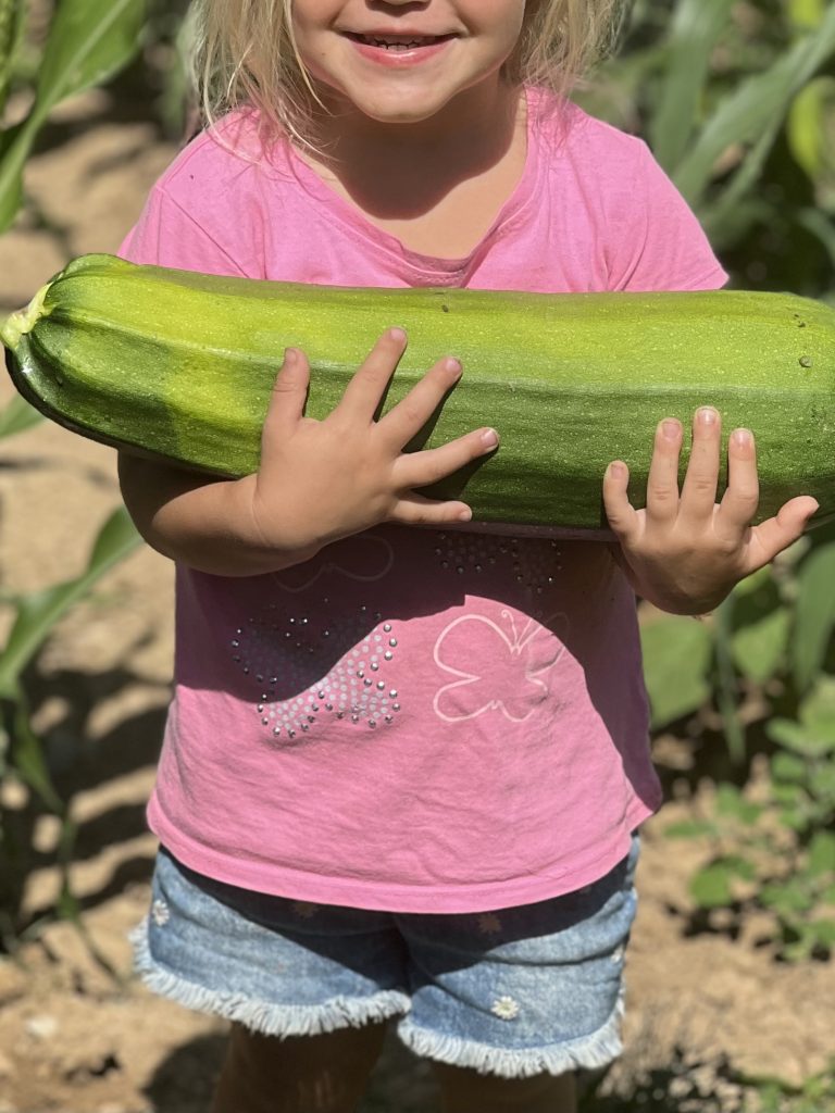 Practical Life Skills: Gardening Ideas for Kids