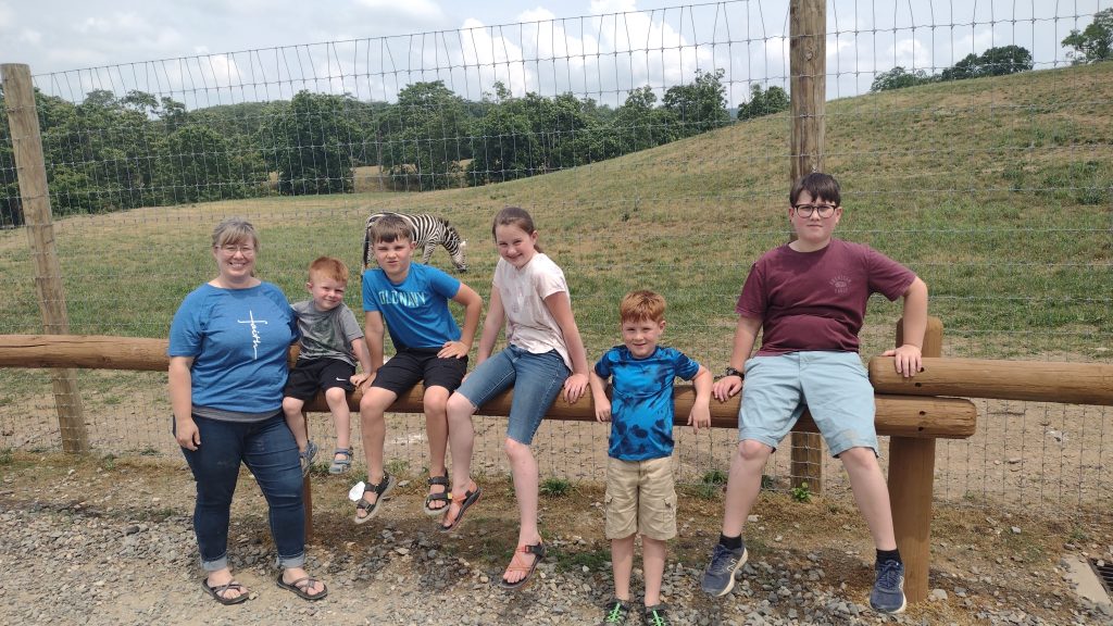 Choosing Curriculum For a Large Family: Interview With Charity