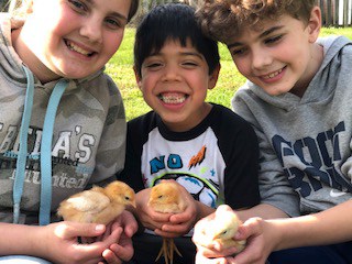 Learning Beside Children With Learning Differences: Interview With Jenn