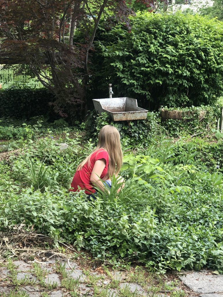 What Are Homeschoolers Learning in Summer Break? (Life Skills!)