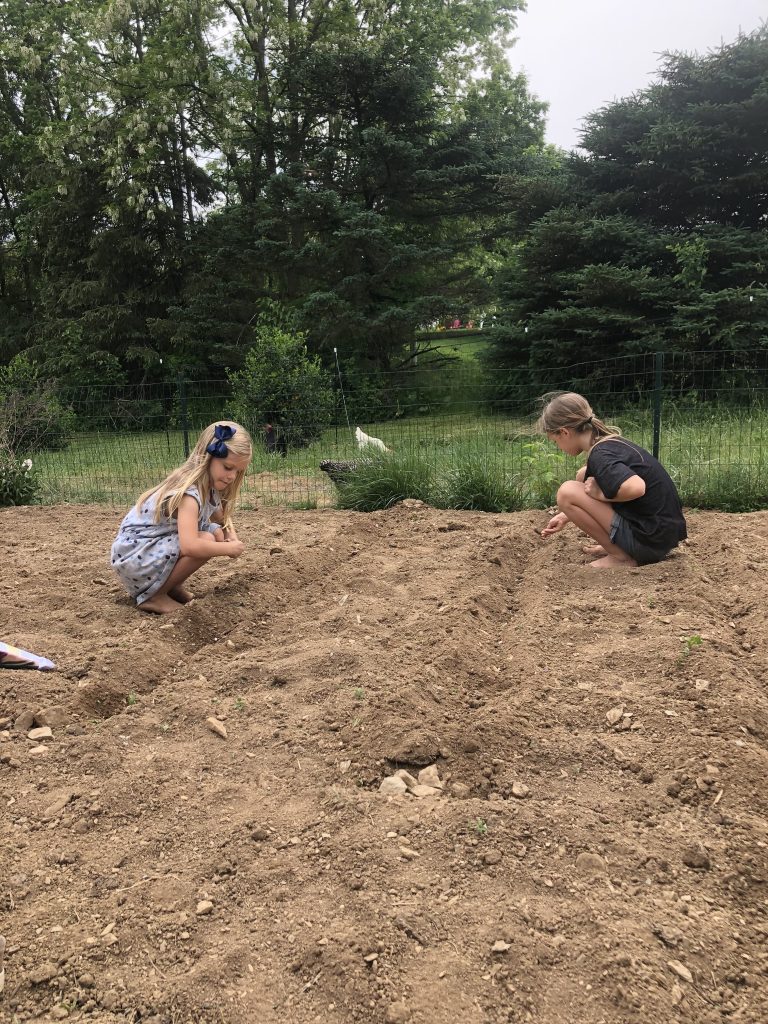 What Are Homeschoolers Learning in Summer Break? (Life Skills!)