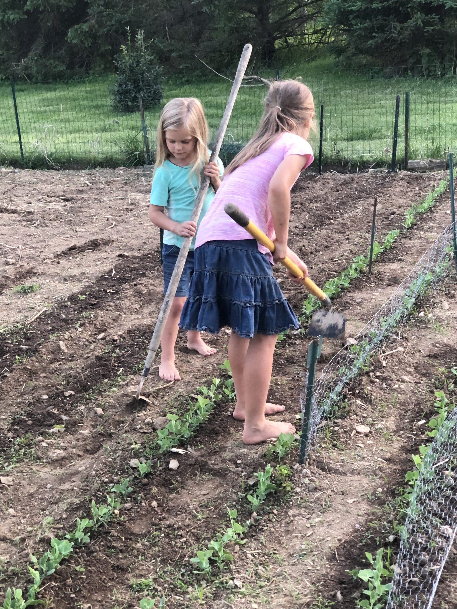 Practical Life Skills: Gardening Ideas for Kids