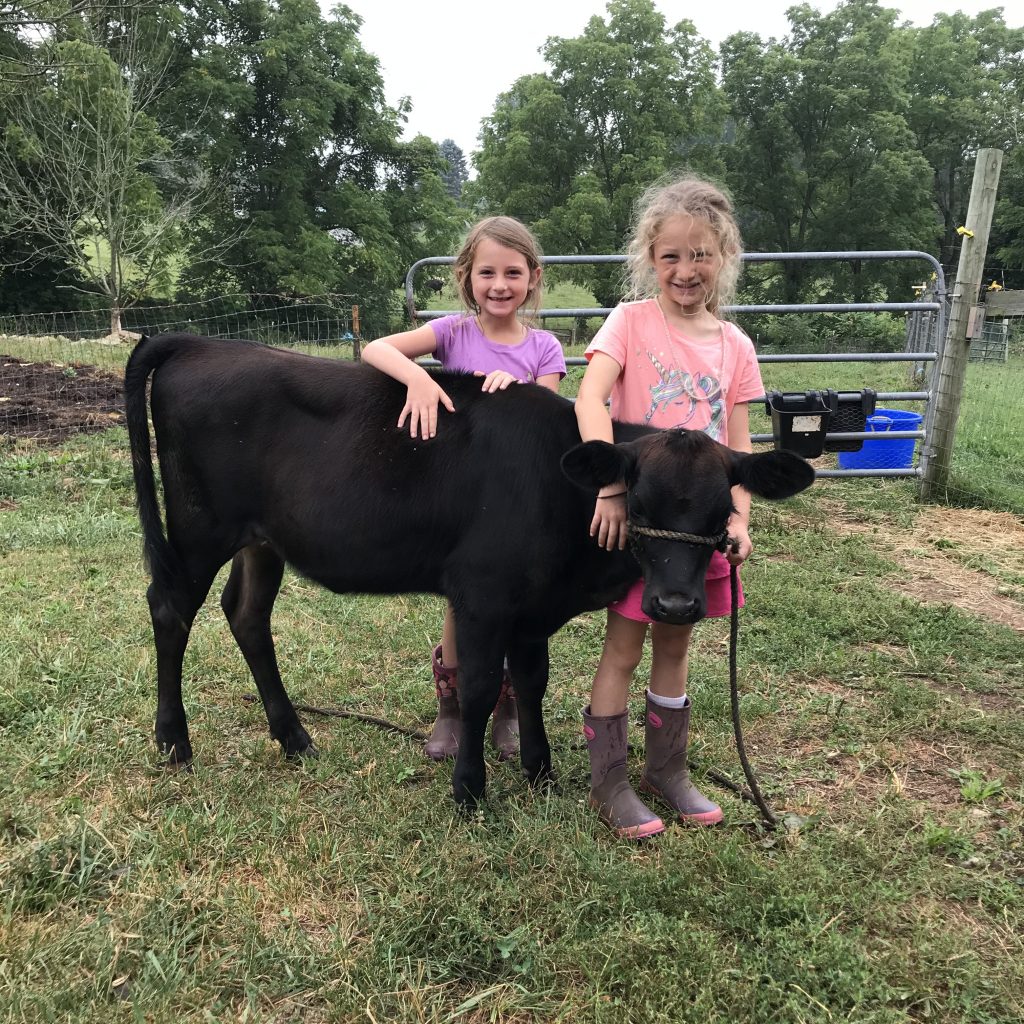 two girls petting a calf