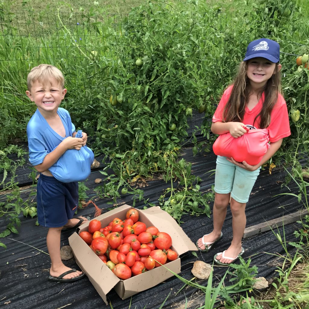 two kids and a box of tomatoes