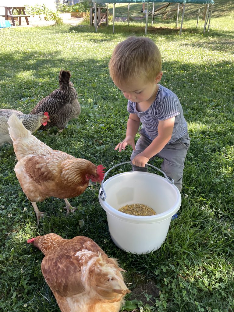 Keeping it Simple Homeschooling: Interview With Lisa