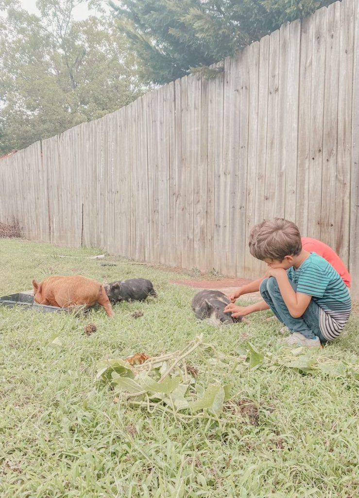 Second Generation Homeschooler | An Interview With Tiffany