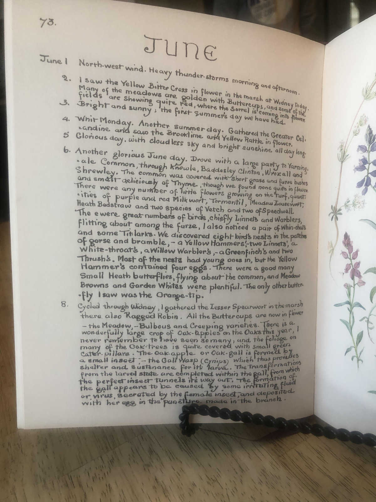 nature notebook sample