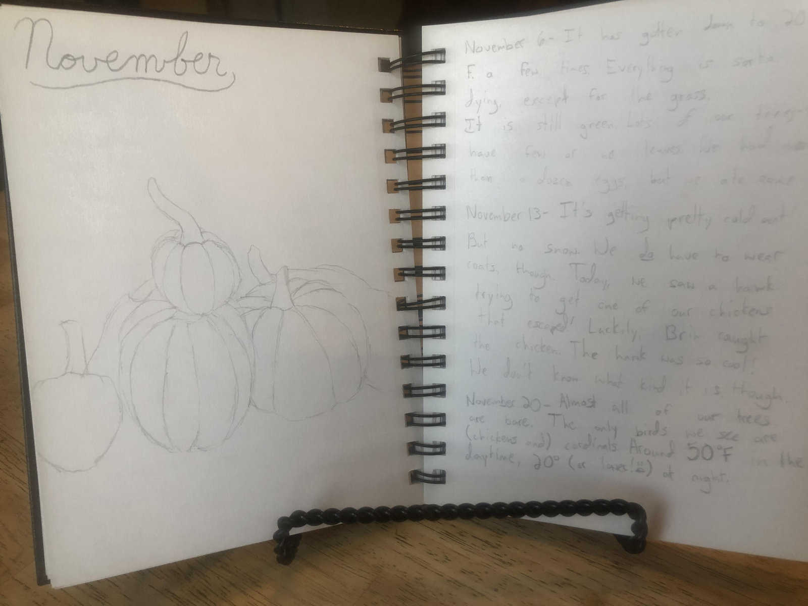 nature notebook