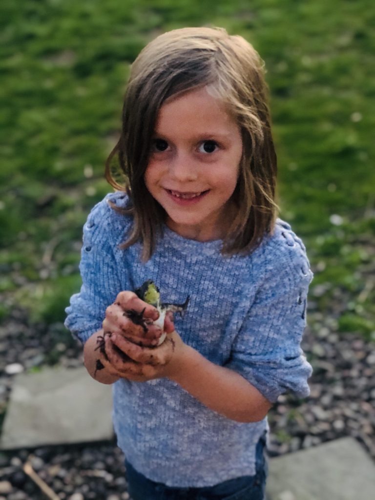 What Does Homeschooling Look Like?