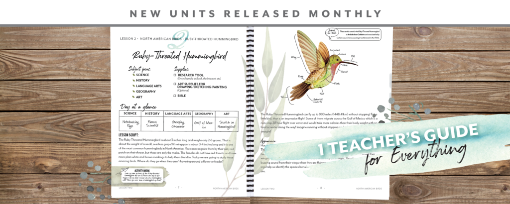 Gather 'Round Homeschool | Homeschool, Curriculum design, Homeschool  curriculum