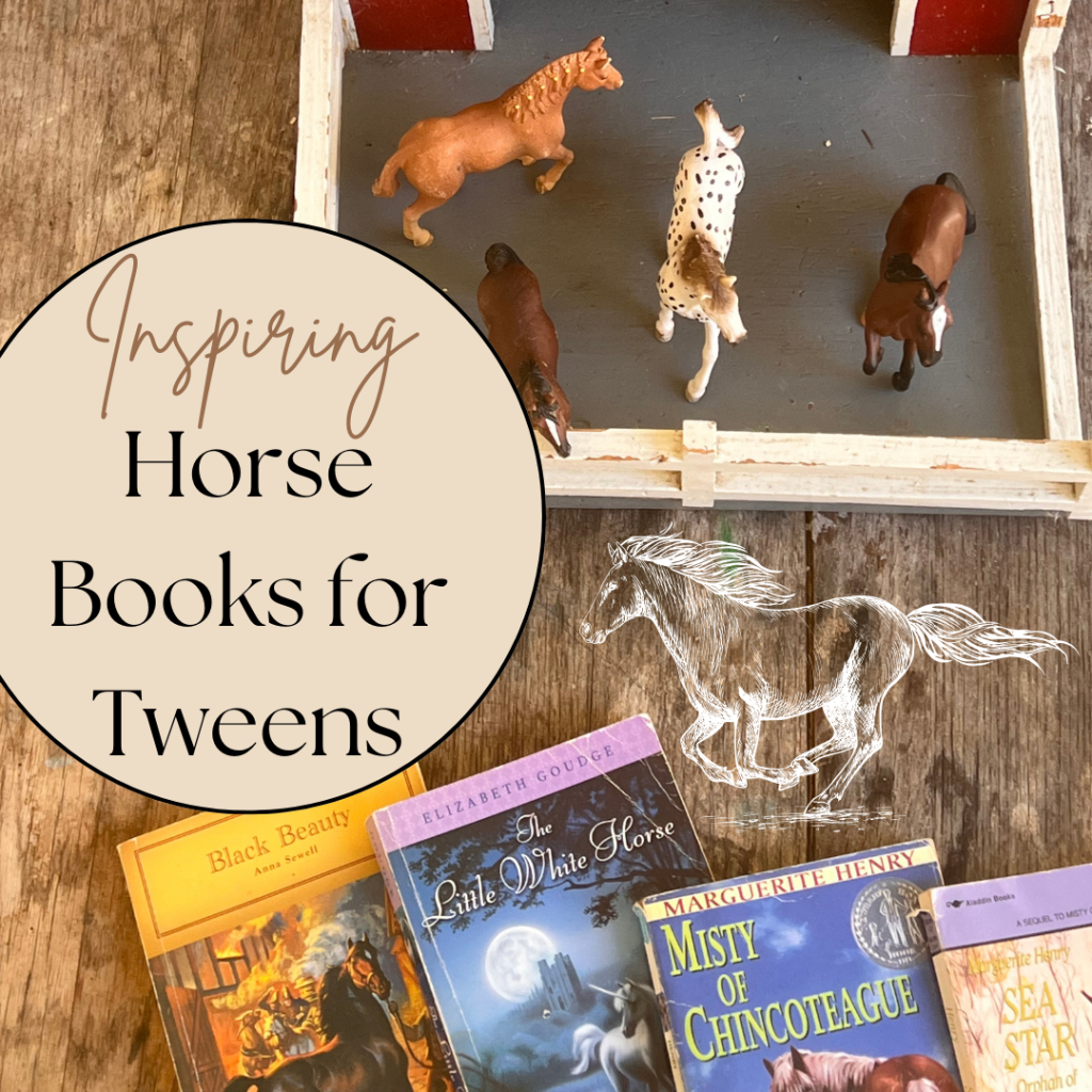 horse books for tweens
